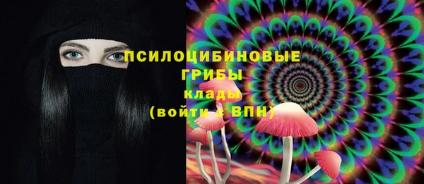 2c-b Балахна